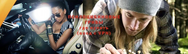дурь Арсеньев