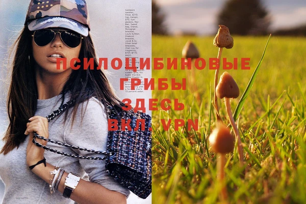 прущие крисы Аркадак