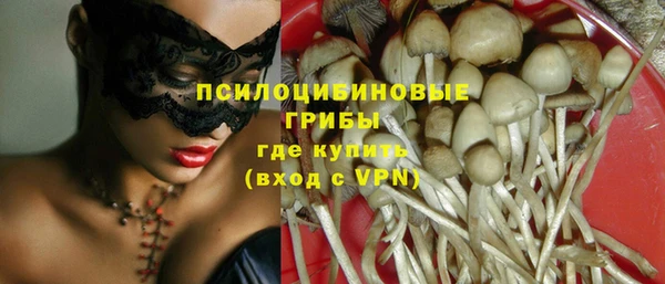 прущие крисы Аркадак
